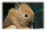 Фотография Абдуразаковой Яны