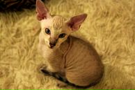 Фотография Юрьевны Воблы