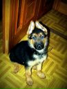 Ірчик Сонечко фотография #11 (источник - https://vk.com/id100171509)