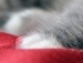 Юля Вітрова фотография #38 (источник - https://vk.com/id104953990)