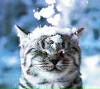 Фотография Наговицыной Оли