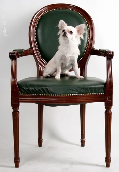 №9, Irma Belenkaya №9, Irma Belenkaya