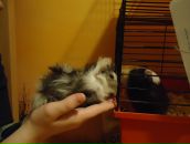 Der Stachel фотография #4 (источник - https://vk.com/id480429)