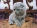 Фотография Клестер Каролины