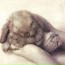 Фотография Ладухина Максима