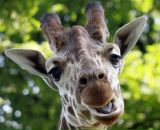 Фотография Смирновой Ирины