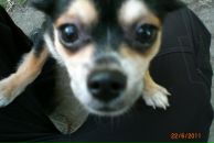 Разбитое Сердце фотография #32 (источник - https://vk.com/id611602)