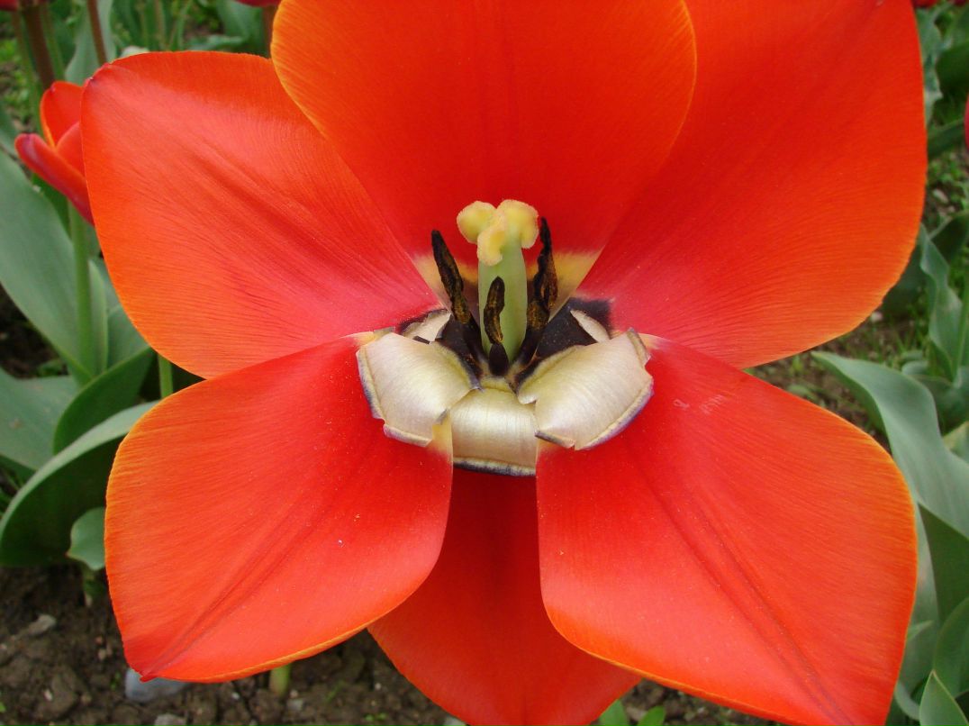 Константин Черников фотография #28