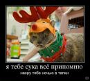 Іра Сiдорчук фотография #12 (источник - https://vk.com/id27743744)