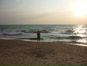 Фотография Тимофеева Евгения