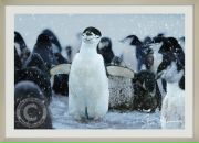 Фотография Ивановой Веры