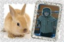 Владіслав Голяк фотография #49 (источник - https://vk.com/id152217109)