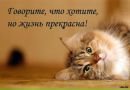 Фотография Хайбуллиной Елены