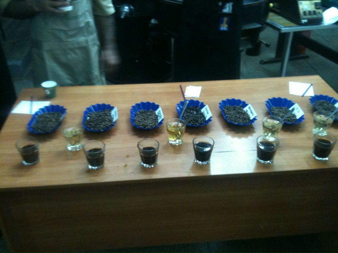 Дмитрий Павлов фотография #28