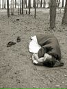 Фотография Baranov Yaroslav