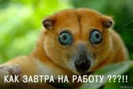 Оксана Стефанів фотография #50 (источник - https://vk.com/id111979136)