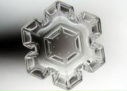 Антон Филь фотография #10 (источник - https://vk.com/id1657549)