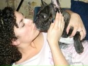 Фотография Spain Дарины