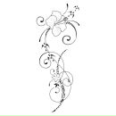 Вероніка Ткаченко фотография #31 (источник - https://vk.com/id32518321)