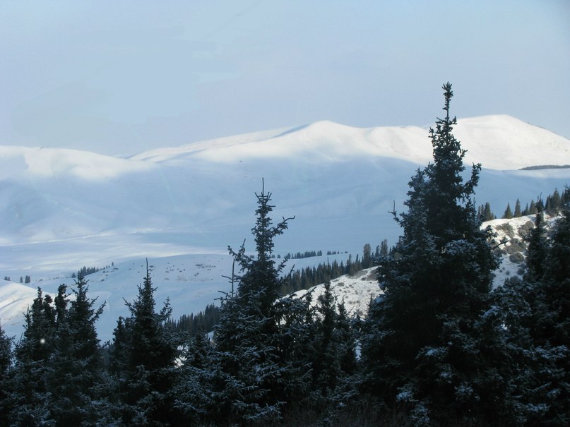 Елена Иванова фотография #48