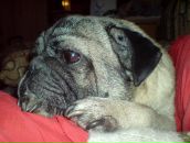 Фотография Никаноровой Лены