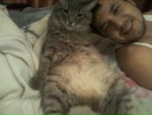 Динар Талипов фотография #39 (источник - https://vk.com/id28148151)