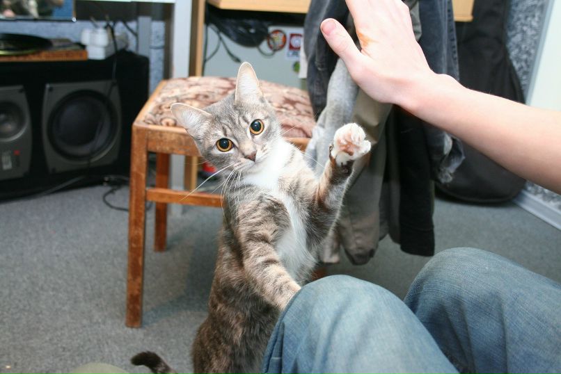 Валентин Тришанков фотография #28