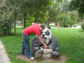 Фотография  