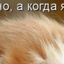 Діма Стоцький фотография #45 (источник - https://vk.com/id78186447)