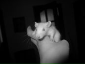 Юний Технік фотография #25 (источник - https://vk.com/id8612143)