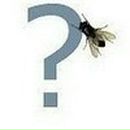 Может Крекер фотография #9 (источник - https://vk.com/id7029905)