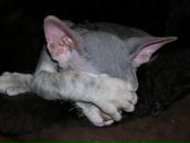 Фотография Ивановой Анны