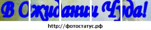 Вікуся Сафроненко фотография #9 (источник - https://vk.com/id69484803)