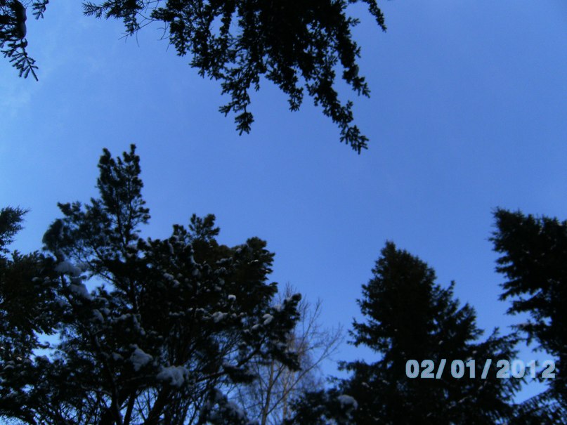 Дмитрий Токмаков фотография #42