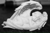 Фотография Калининой Анастасии