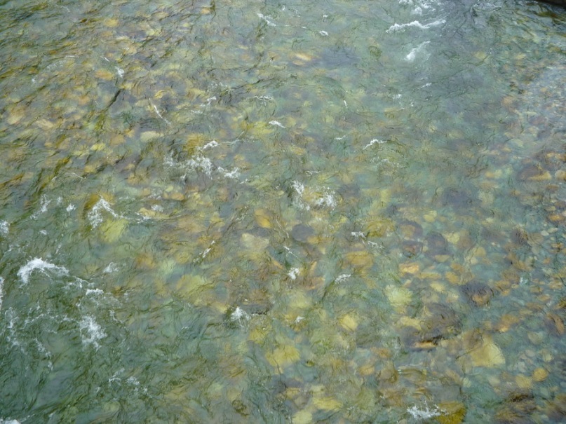 Станислав Кыдымаев фотография #35