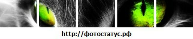 Віталік Ковальов фотография #24 (источник - https://vk.com/id50647396)