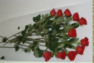 Фотография Поксы Оксаны