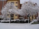 Оксана Досінчук фотография #25 (источник - https://vk.com/id140137861)