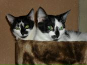 Фотография Клюквиной Ольги