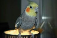 Віталій Грушецький фотография #26 (источник - https://vk.com/id60726593)