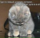 Іра Гуменна фотография #16 (источник - https://vk.com/id160272945)