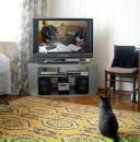 Фотография Мдфипа Амва