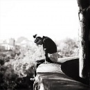 Наталія Антонюк фотография #49 (источник - https://vk.com/id20198035)