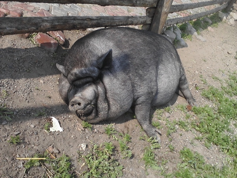 Дмитрий Иост фотография #25