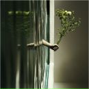 Фотография Марьевой Ольги