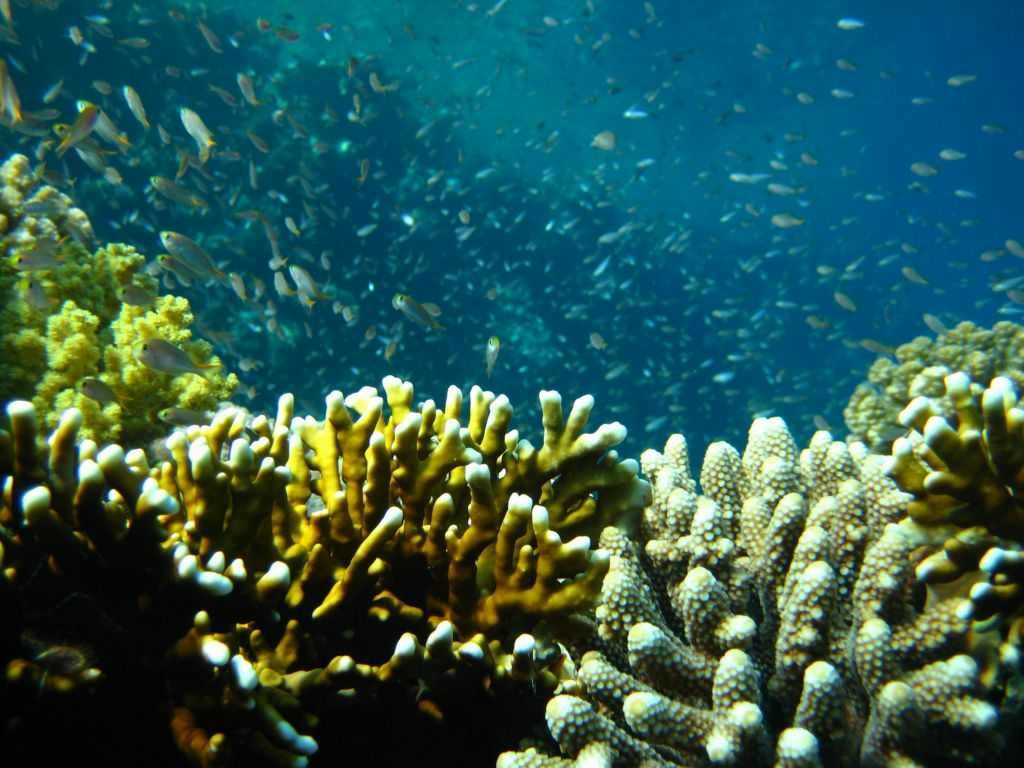 Danila Boykov фотография #24