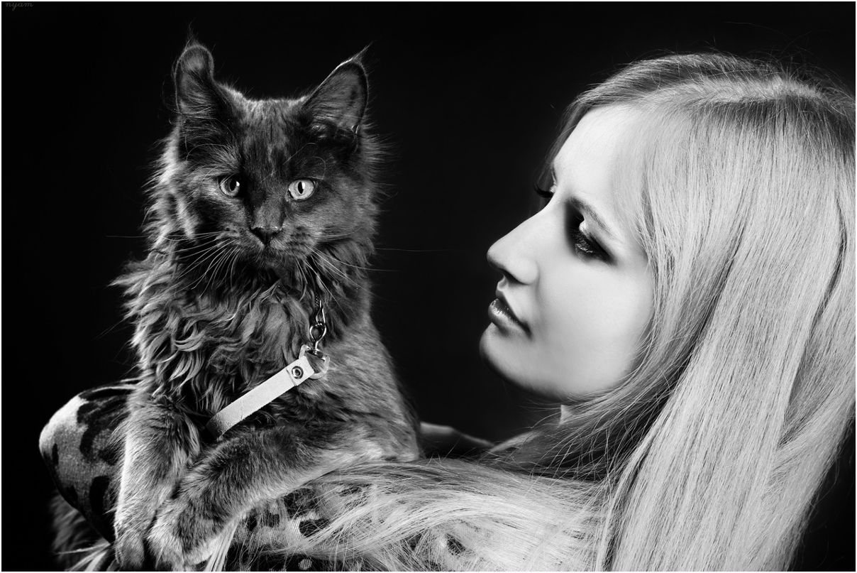 Александр Степанов фотография #48