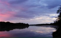 Саша Скригулець фотография #6 (источник - https://vk.com/id137200175)