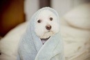 Фотография Соболева Павла